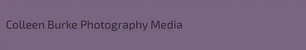 Colleen Burke Photography Media